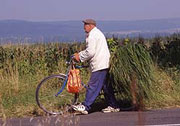 Transport de l'herbe ࠢicyclette en Hongrie