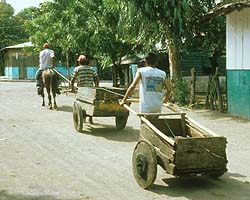 Hand carts used by fishermen in Nicaragua