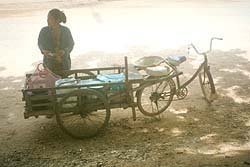 Photograph by Upali Pannilage �