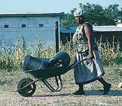 Woman carrying water with a wheelbarrow in South Africa