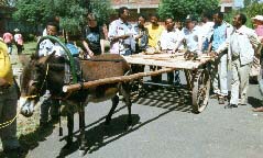 Network members review simple carts designs in Ethiopia